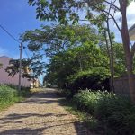 bairrros_jardim_guanabara_Foto 1 – Cópia