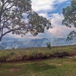 Em questão de minutos as chamas se propagaram próximo a Linha Verde – O DEBATE 2