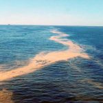 Estima-se que tenham vazado 188m³ de óleo no Parque das Baleias, na Bacia de Campos – Divulgação