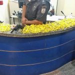 Revólver calibre 38, 15 munições uma mochila 160 papelotes de cocaína e 747 buchas de maconha foram apreendidos DivulgaçãoPM 