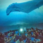O filme exibido será o Mergulho no Desconhecido, com cerca de 20 minutos de duração -Léo Francin iDivulgação