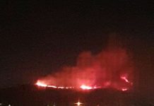 Bombeiros combatem incêndio em vegetação no Vale dos Cristais