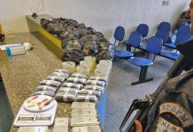 Tráfico leva prejuízo de R$ 300 mil após apreensão de drogas no Morro São Jorge