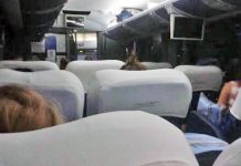 Estudantes de Macabu dormem dentro do ônibus, após coletivo quebrar durante passeio