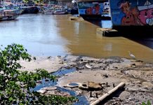 IFF passa a contar com doutorado na área de Meio Ambiente