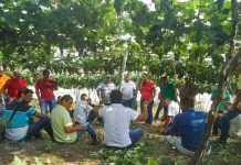 Christino luta contra corte de verbas federais para a Assistência Técnica Rural