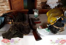 PF prende 10 suspeitos em reservas por crime ambiental