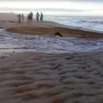 Lagoa Paulista transborda e rompe devido a fortes chuvas no fim de semana. Ecobags foram levados pela enxurrada – Reprodução/vídeo 