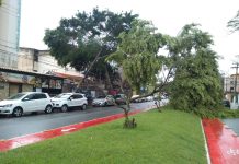 Macaé contabiliza estragos após vendaval