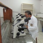 2-2 geral-n1 divulgaçào nupem