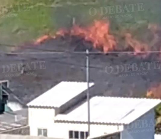 Incêndio em área de mata quase atinge gasoduto (Vídeo)