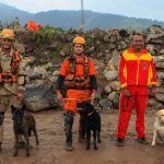 Cães do Corpo de Bombeiros RJ conquistam certificações nacionais de busca e resgate
