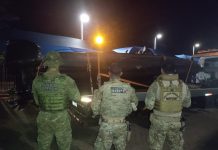 Polícias Militar e Federal apreendem cerca de uma tonelada e meia de maconha