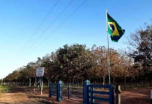 O principal feito de Jair Bolsonaro é a causa da revolta da bandidagem que sempre dominou o país