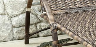 Guarda Ambiental devolve ao habitat natural mais dois animais silvestres